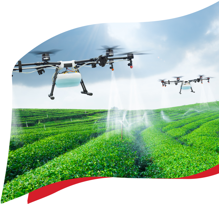 Image of drones in a field of crops