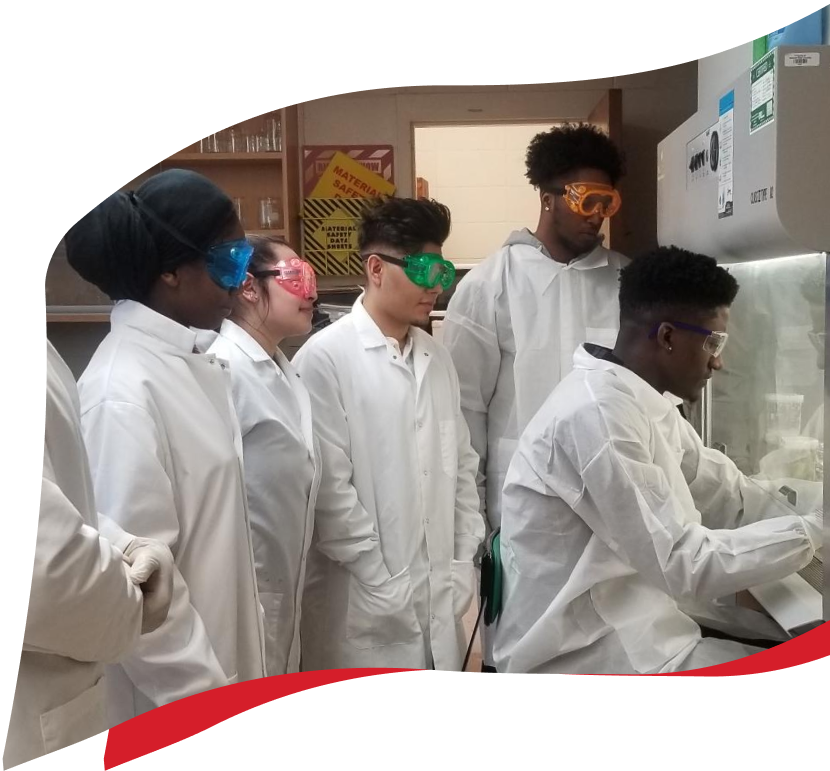 Students looking through a microscope