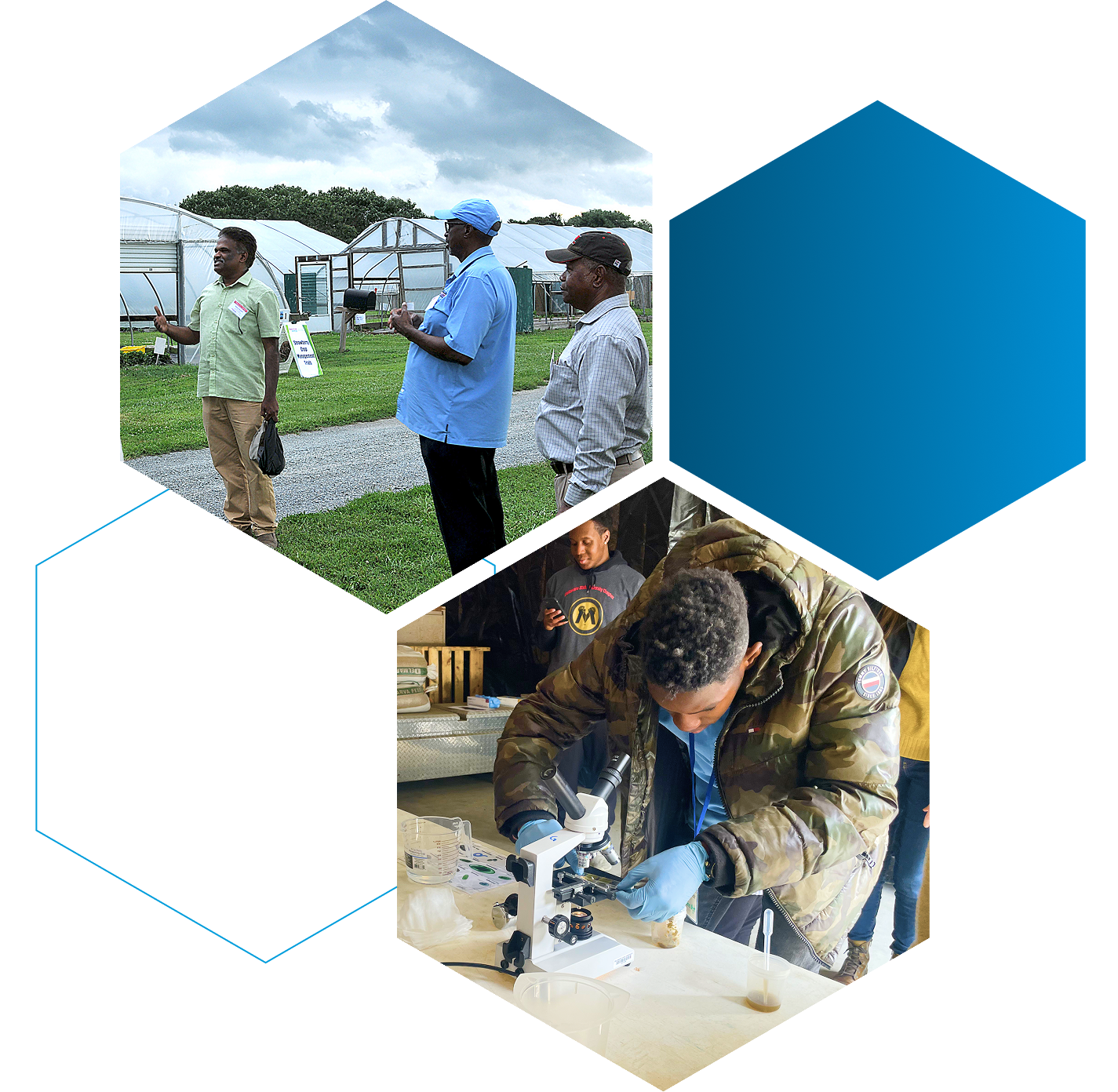 People using microscopes and talking in front of greenhouses