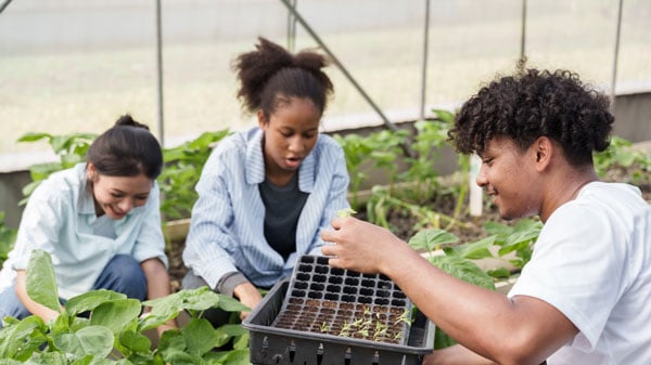 Student studying agriculture