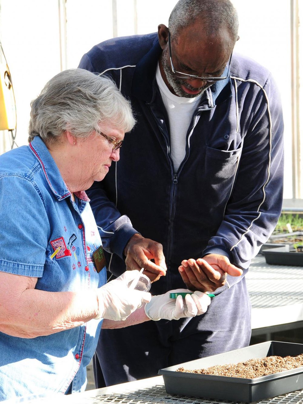 Two people studying plant soil
