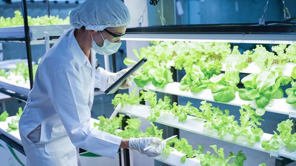 Student studying food science