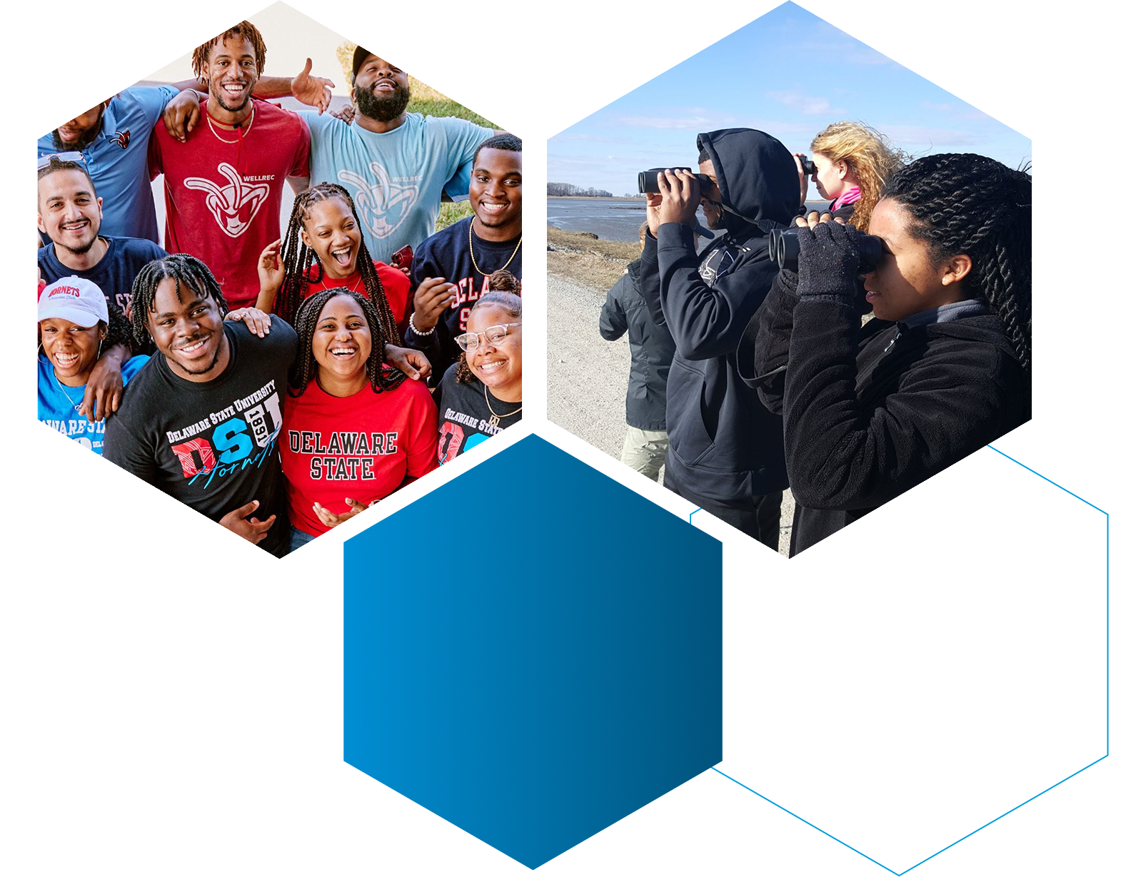 Students in a group birdwatching