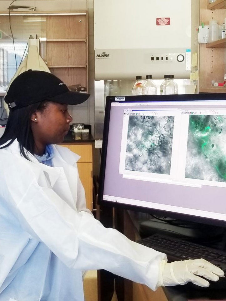 student at computer studying science