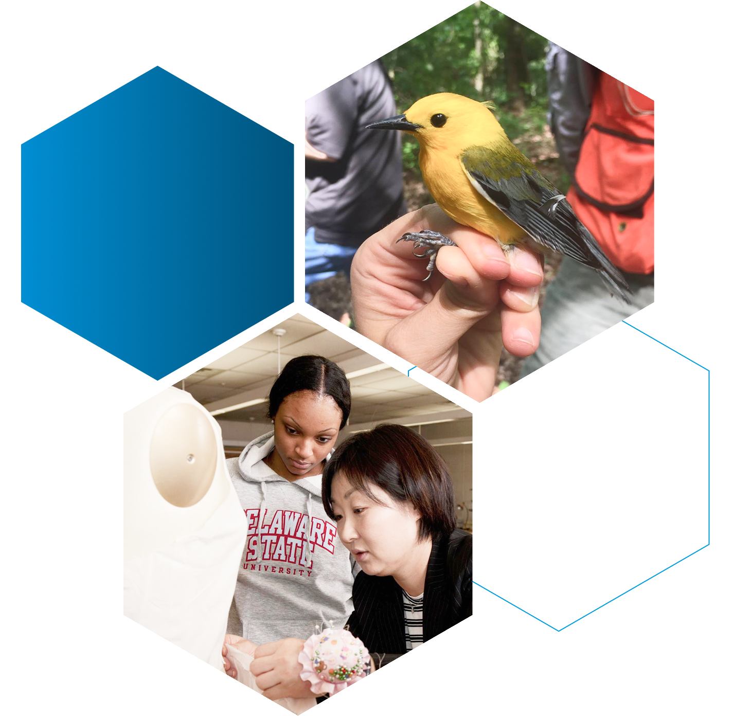 Students styling a mannequin and a student with a bird